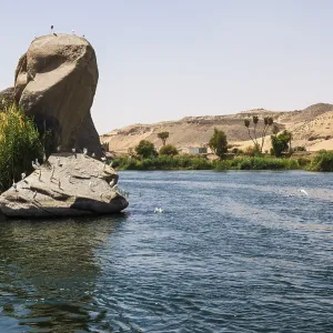 River Landscape Print of the Nile and Rocks, Aswan, Egypt River Landscape Print of the Nile and Rocks, Aswan, Egypt