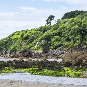 Mothecombe Beach Rocks and Cliffs Print, South Devon, England