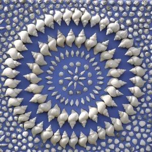 Cercle de coquille. Cercle de coquille.