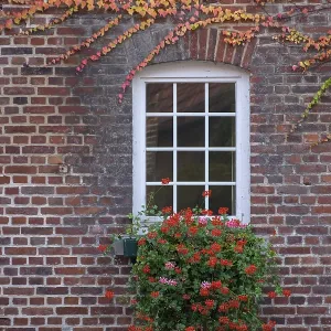 Stable Window Print from imageBROKER Stable Window Print from imageBROKER