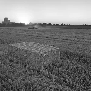 Stubble Processing Print - Stuttgart, Germany Stubble Processing Print - Stuttgart, Germany