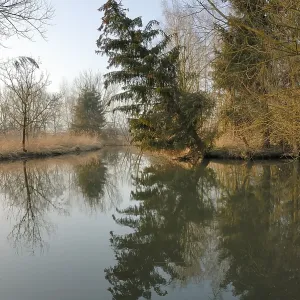 Tilted Tree and Reflections Print, Schmutter River near Augsburg Tilted Tree and Reflections Print, Schmutter River near Augsburg