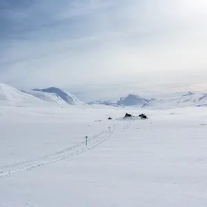 Track with markings in winter in front of Saelka, Kungsleden or Koenigsweg, Province of Lapland, Sweden, Scandinavia, Europe