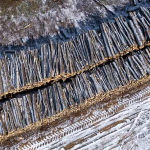 Tree trunks stored after cutting and before being transported to the pulp mill. Region of La Mauricie. Province of Quebec. Canada