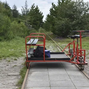 Trolley in the forest, Denmark Print Trolley in the forest, Denmark Print
