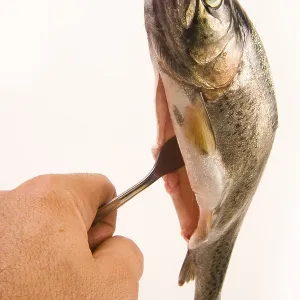 Trout on a Fork Print Trout on a Fork Print