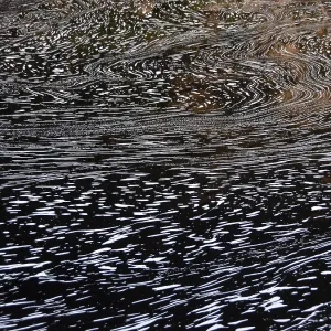 Typical Foam Structures Print, Blackwater River, Brazil