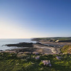 View from Compass Point Print, Bude Bay, North Cornwall, England View from Compass Point Print, Bude Bay, North Cornwall, England