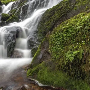 Wasserfall in einem Bergwald im Frühling. Wasserfall in einem Bergwald im Frühling.