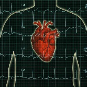 EKG and Heart Print over Male Torso Illustration EKG and Heart Print over Male Torso Illustration