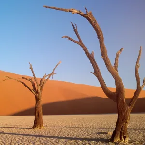Namibia Sand Dunes Print Namibia Sand Dunes Print