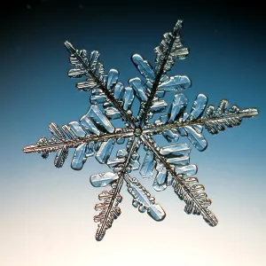 Snowflake