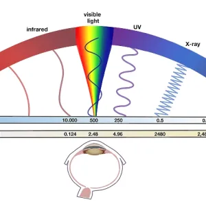 Electromagnetic Spectrum Print Diagram Electromagnetic Spectrum Print Diagram