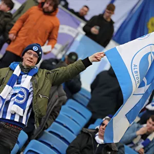 Brighton and Hove Albion vs. Crystal Palace: A Premier League Showdown at American Express Community Stadium (29FEB20)