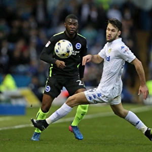 March Clash: Leeds United vs. Brighton and Hove Albion in EFL Sky Bet Championship (18MAR17)