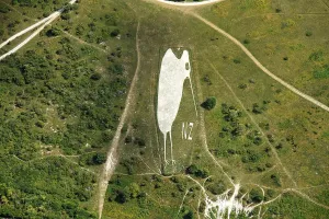 Prints of Kiwi Chalk Figure above Bulford Camp, Wiltshire, 2022 Aerial Views of England - Landscapes, Cities and Heritage from Above: Kiwi Chalk Figure Print from Bulford Camp, Wiltshire