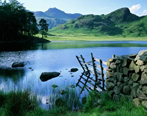 Blea Tarn, Lake District J060231