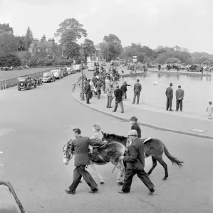 Print of two boys riding donkeys on Hampstead Heath, London