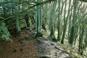 Offa's Dyke Print: A General View of the Gloucestershire Earthwork