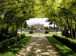 Brodsworth Hall Print: Formal Gardens View through Laburnum Arch