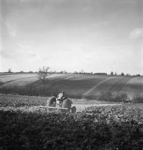 Prints of A field in Hertfordshire, being ploughed by a man on a tractor. Photographed by John Gay. Date range: 1950-1959 Hertfordshire Prints: Ploughing Print, Hertfordshire Field