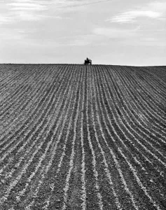 Prints of A newly ploughed field near Aylesbury, Buckinghamshire. The farmer on his tractor is sillouhetted on the horizon. Photographed by John Gay during 1950s 1960s Buckinghamshire Prints: Print of a newly ploughed field with a tractor in the distance