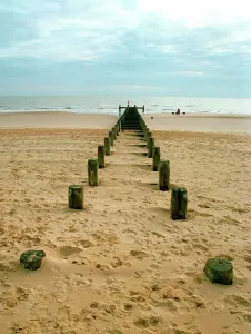 Suffolk Prints: Lowestoft Beach Print: Groyne on Suffolk Coast
