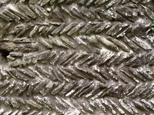 Prints of EDVIN LOACH OLD CHURCH, Herefordshire. Detail of herringbone stonework Herefordshire Prints: Herringbone Stonework Print N090553