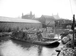 Print of Abel Beesley on his punt with bundles of rushes near Pacey Bridge