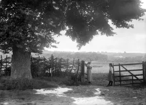 Henry Taunt Photographer Prints: Oxfordshire country gate BB73_00142
