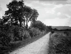 Hodcot Lane Print, West Ilsley Downs in distance