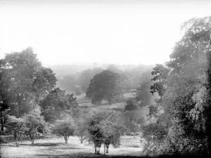 Highclere Castle Prints: Highclere Castle Parkland Print