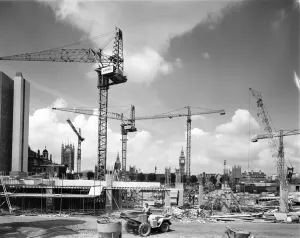 Hospital Prints: Print of Tower Cranes at St Thomas Hospital