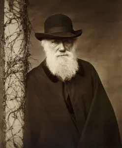 The Victorian Age Prints: Print of Charles Darwin, c 1880