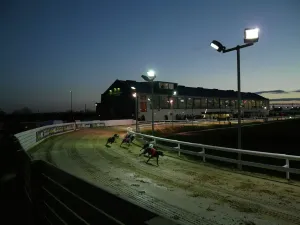 Print of a greyhound stadium at dusk, featuring dogs racing on the track