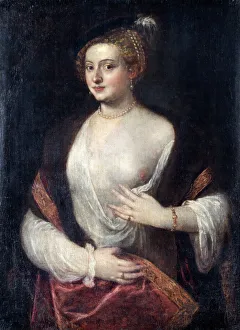 An Unknown Lady called Titians Mistress N070681 An Unknown Lady called Titians Mistress N070681