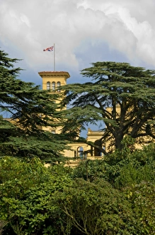 View of Osborne House through the trees N080287 View of Osborne House through the trees N080287