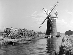 Windmill, Norfolk OP04512 Windmill, Norfolk OP04512