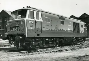Prints of Class 35 Hymek Locomotive No. D7067 with pristine livery in about 1966. These Type 3 Diesel Hydraulic locomotives operated on the Western Region Locomotive Prints: Class 35 Hymek Locomotive Print, circa 1966