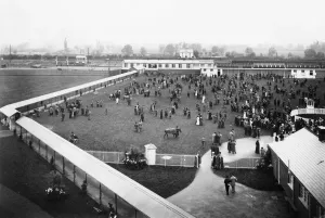 British Heritage Railways Prints: Newbury Racecourse Station, September 1905