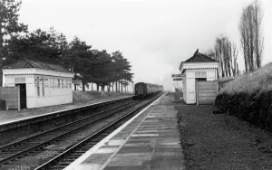 GWR Museum STEAM Prints: Cheltenham Racecourse Station, Gloucestershire, c. 1960