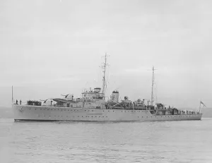 Warship Prints: HMS Egret Print - Royal Air Force Warship Sloop