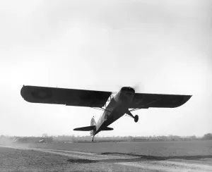 World War Two Prints: Auster IV British Taylorcraft Auster IV Print