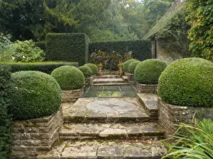 Formal Garden Design Prints: 1 Date