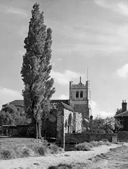 Vintage Rural Landscape Photography Prints: 10185804