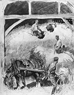 Agricultural Labor Prints: -