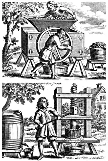 Food And Drink History Prints: 1678 Cider Mill