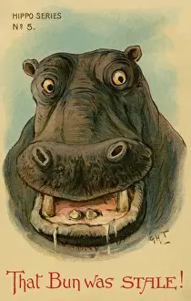 Humorous Animal Art Prints: Hippo