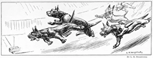 Aberdeen Terriers Chasing a Threepenny Bit Aberdeen Terriers Chasing a Threepenny Bit