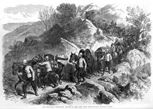 Abyssinian expedition - Return of Army from Magdala Abyssinian expedition - Return of Army from Magdala